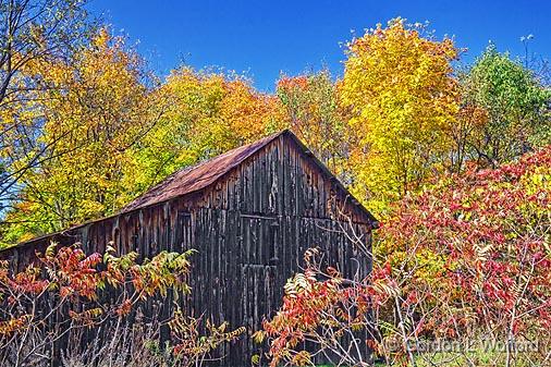 Autumn Barn_17665.jpg - Photographed near Westport, Ontario, Canada.